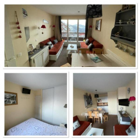 Appartement pieds des pistes